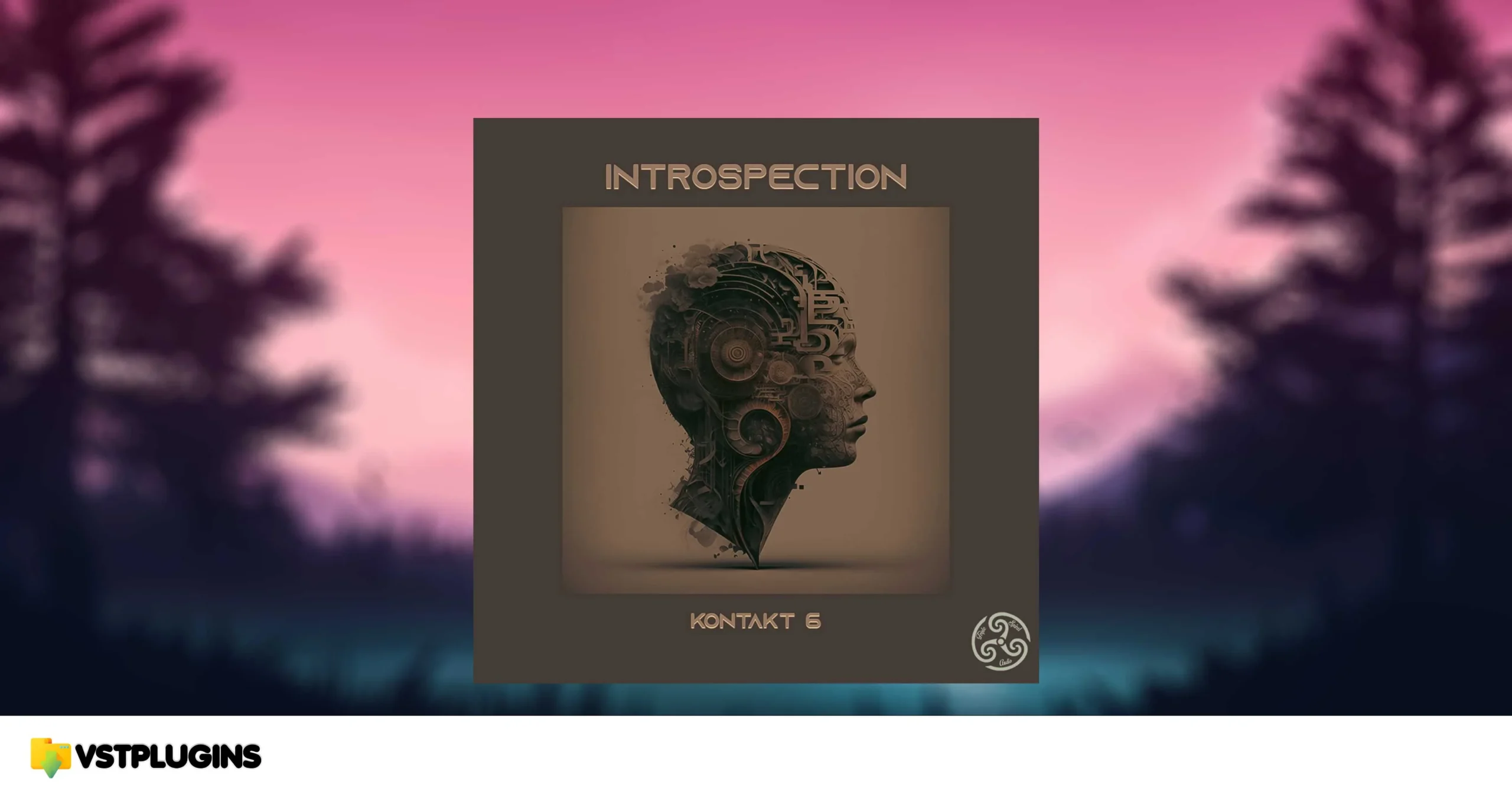 Triple Spiral Audio – Introspection 1.1.0 (KONTAKT)